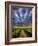 Sky Path-Adrian Campfield-Framed Photographic Print