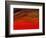 Sky Portrait of a Sunset-John Newcomb-Framed Giclee Print