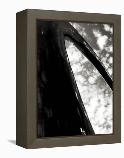 Sky Sculpture I-Tang Ling-Framed Premier Image Canvas