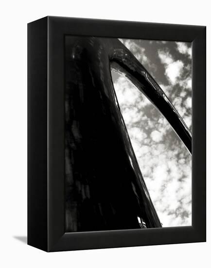 Sky Sculpture I-Tang Ling-Framed Premier Image Canvas