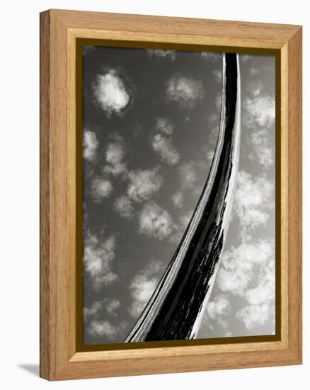 Sky Sculpture II-Tang Ling-Framed Premier Image Canvas