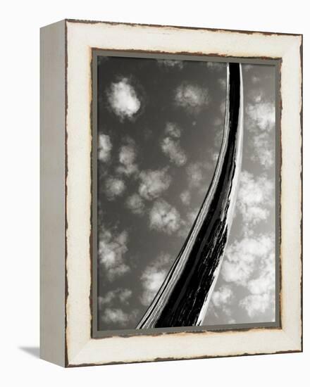 Sky Sculpture II-Tang Ling-Framed Premier Image Canvas