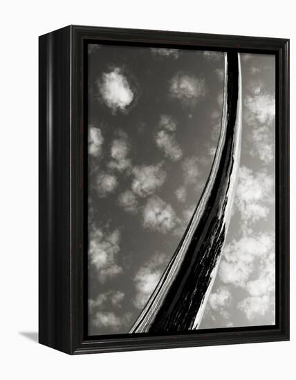 Sky Sculpture II-Tang Ling-Framed Premier Image Canvas