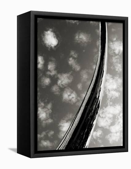 Sky Sculpture II-Tang Ling-Framed Premier Image Canvas