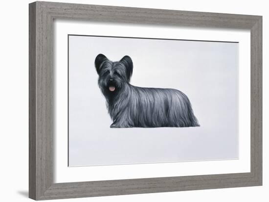 Sky Terrier-Harro Maass-Framed Giclee Print