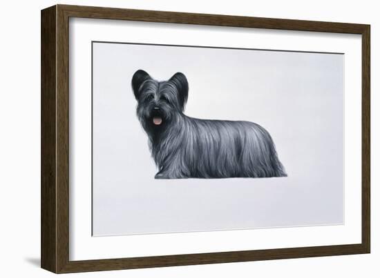 Sky Terrier-Harro Maass-Framed Giclee Print