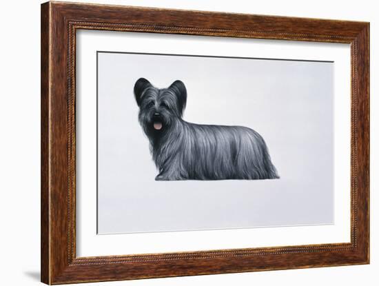 Sky Terrier-Harro Maass-Framed Giclee Print