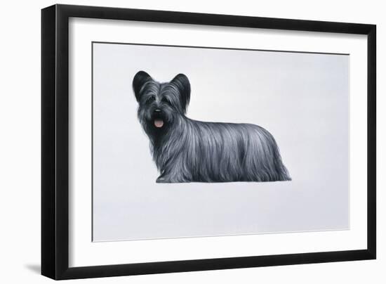 Sky Terrier-Harro Maass-Framed Giclee Print