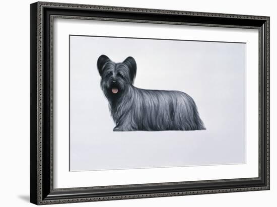 Sky Terrier-Harro Maass-Framed Giclee Print