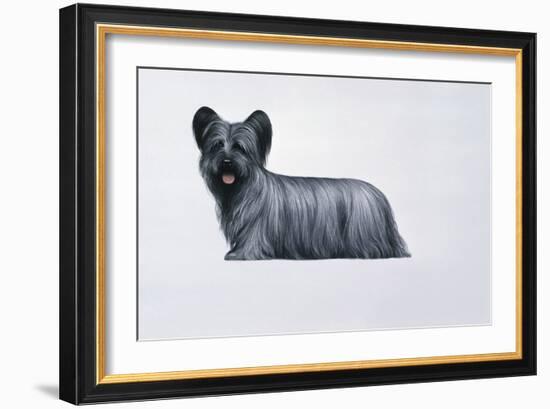 Sky Terrier-Harro Maass-Framed Giclee Print