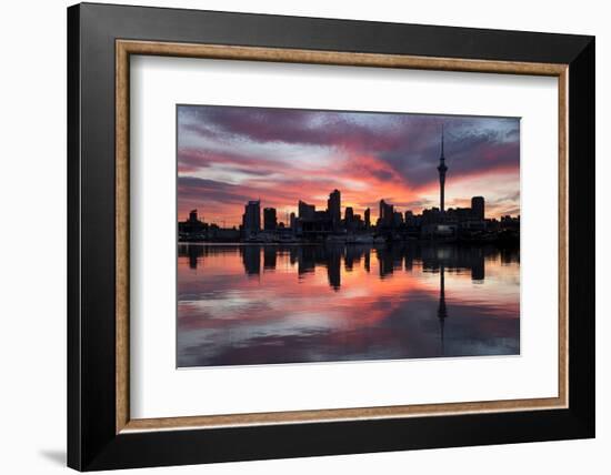 Sky Tower and City at Dawn from Westhaven Marina, Auckland, North Island, New Zealand, Pacific-Stuart-Framed Photographic Print