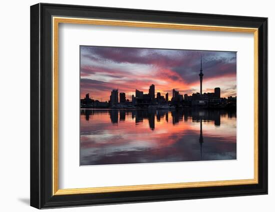 Sky Tower and City at Dawn from Westhaven Marina, Auckland, North Island, New Zealand, Pacific-Stuart-Framed Photographic Print