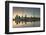 Sky Tower and Viaduct Harbour at Dawn, Auckland, North Island, New Zealand, Pacific-Ian-Framed Photographic Print
