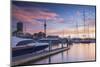 Sky Tower and Viaduct Harbour at Sunset, Auckland, North Island, New Zealand-Ian Trower-Mounted Photographic Print