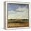 Sky View I-Tim O'toole-Framed Premier Image Canvas