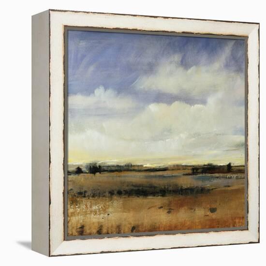 Sky View I-Tim O'toole-Framed Premier Image Canvas