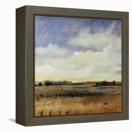 Sky View I-Tim O'toole-Framed Premier Image Canvas