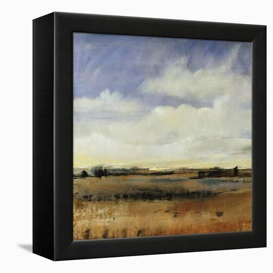 Sky View I-Tim O'toole-Framed Premier Image Canvas