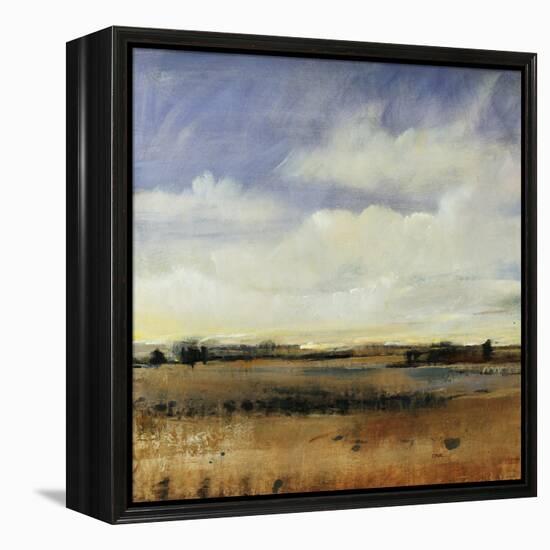 Sky View I-Tim O'toole-Framed Premier Image Canvas