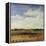 Sky View I-Tim O'toole-Framed Premier Image Canvas