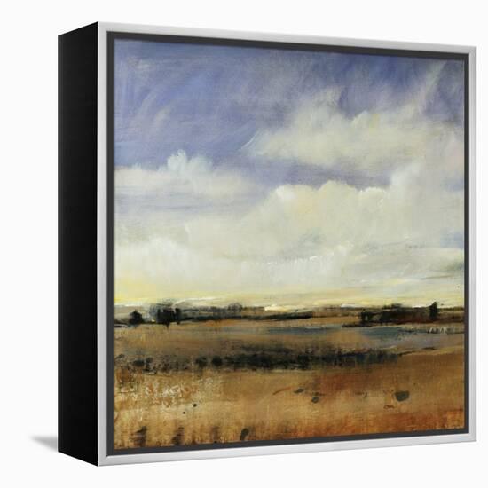 Sky View I-Tim O'toole-Framed Premier Image Canvas