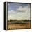 Sky View I-Tim O'toole-Framed Premier Image Canvas