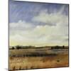 Sky View I-Tim O'toole-Mounted Giclee Print