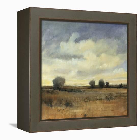 Sky View II-Tim O'toole-Framed Premier Image Canvas