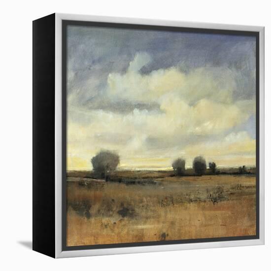 Sky View II-Tim O'toole-Framed Premier Image Canvas