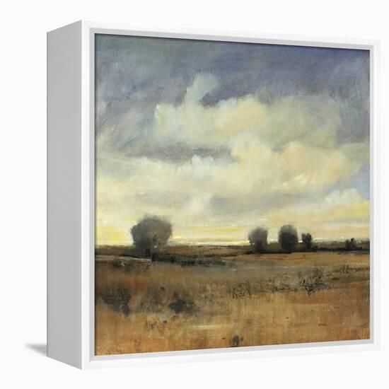 Sky View II-Tim O'toole-Framed Premier Image Canvas