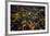 Sky View London I-Jason Hawkes-Framed Giclee Print