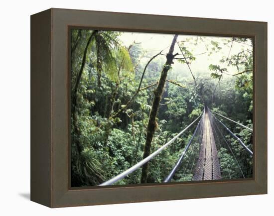 Sky Walk, Monteverde Cloud Forest, Costa Rica-Michele Westmorland-Framed Premier Image Canvas