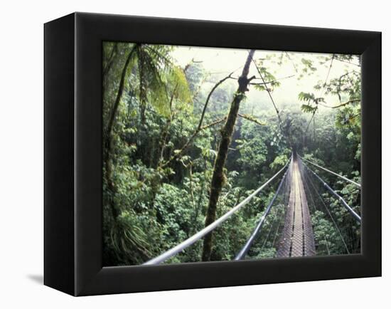 Sky Walk, Monteverde Cloud Forest, Costa Rica-Michele Westmorland-Framed Premier Image Canvas