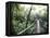 Sky Walk, Monteverde Cloud Forest, Costa Rica-Michele Westmorland-Framed Premier Image Canvas