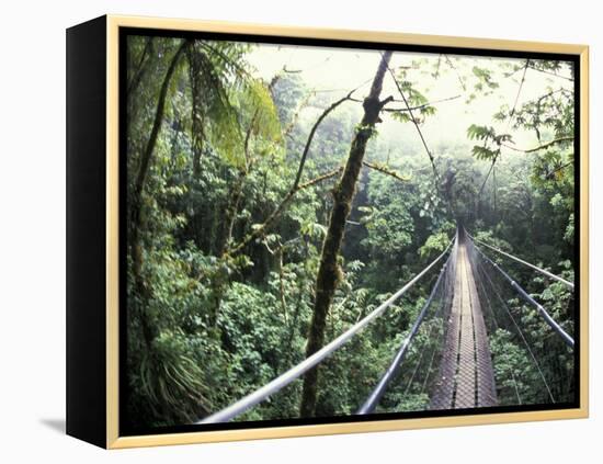 Sky Walk, Monteverde Cloud Forest, Costa Rica-Michele Westmorland-Framed Premier Image Canvas