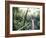 Sky Walk, Monteverde Cloud Forest, Costa Rica-Michele Westmorland-Framed Photographic Print