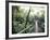 Sky Walk, Monteverde Cloud Forest, Costa Rica-Michele Westmorland-Framed Photographic Print