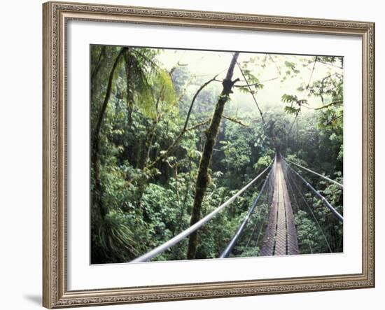 Sky Walk, Monteverde Cloud Forest, Costa Rica-Michele Westmorland-Framed Photographic Print