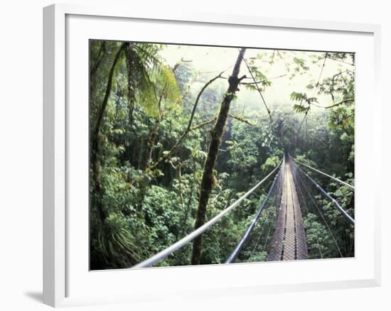 Sky Walk, Monteverde Cloud Forest, Costa Rica-Michele Westmorland-Framed Photographic Print