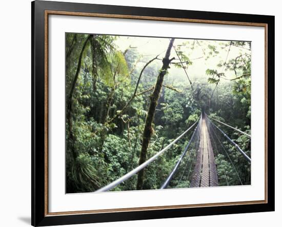 Sky Walk, Monteverde Cloud Forest, Costa Rica-Michele Westmorland-Framed Photographic Print