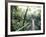 Sky Walk, Monteverde Cloud Forest, Costa Rica-Michele Westmorland-Framed Photographic Print