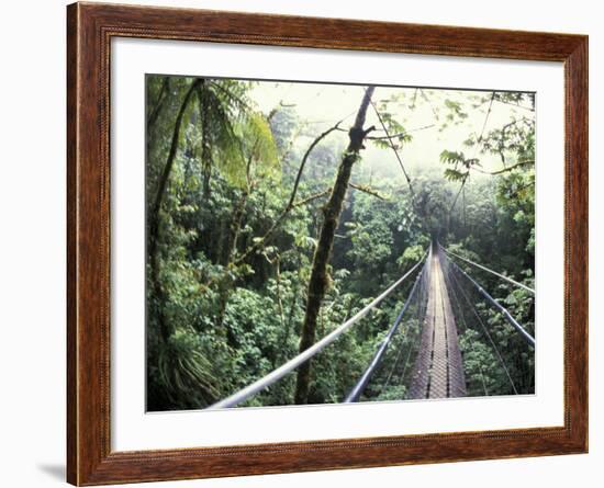 Sky Walk, Monteverde Cloud Forest, Costa Rica-Michele Westmorland-Framed Photographic Print