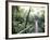 Sky Walk, Monteverde Cloud Forest, Costa Rica-Michele Westmorland-Framed Photographic Print