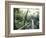 Sky Walk, Monteverde Cloud Forest, Costa Rica-Michele Westmorland-Framed Photographic Print