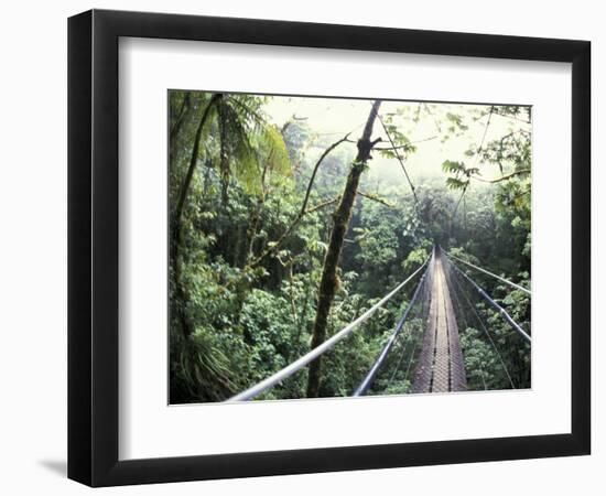 Sky Walk, Monteverde Cloud Forest, Costa Rica-Michele Westmorland-Framed Photographic Print