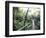 Sky Walk, Monteverde Cloud Forest, Costa Rica-Michele Westmorland-Framed Photographic Print