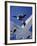 Skydivers Jumping from Plane-null-Framed Photographic Print