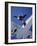 Skydivers Jumping from Plane-null-Framed Photographic Print