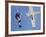 Skydivers Jumping from Plane-null-Framed Photographic Print