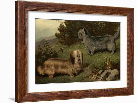 Skye Terriers-Vero Shaw-Framed Art Print